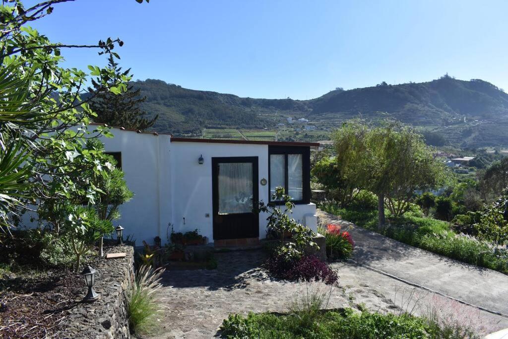 Casita De La Montana De Maria Villa Tegueste Bagian luar foto